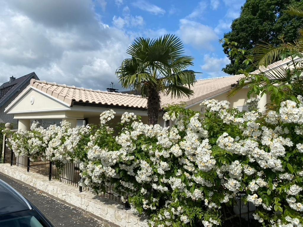 Wilsmann Apartmentvermietung Hövelhof Buitenkant foto