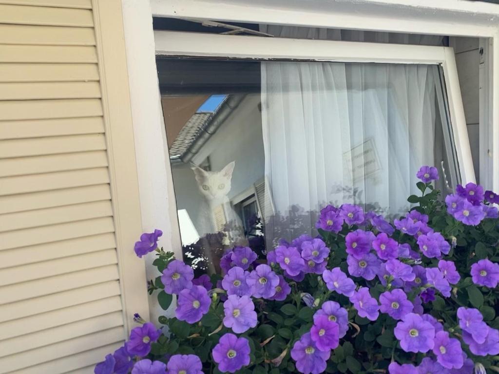Wilsmann Apartmentvermietung Hövelhof Buitenkant foto