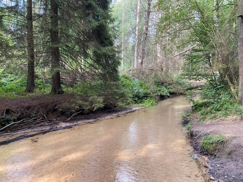 Wilsmann Apartmentvermietung Hövelhof Buitenkant foto